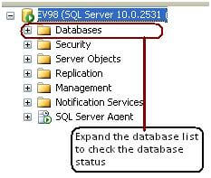 Using SSMS