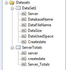 SSRS Report Datasets