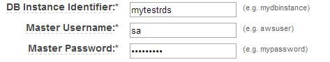 Choice of DB Instance Identifier and Master User
