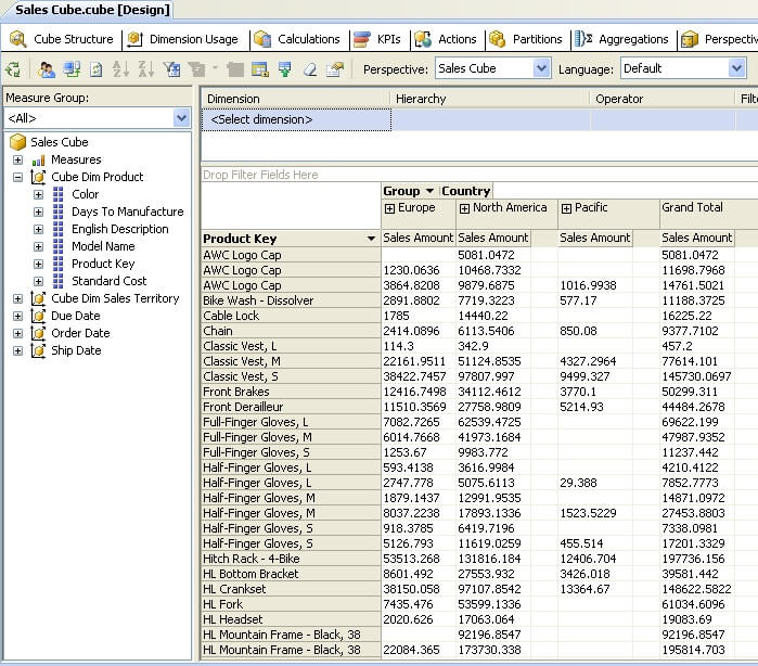 SQL Server Analysis Services Sales Cube