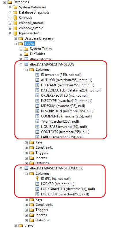 Liquibase Generated Tables