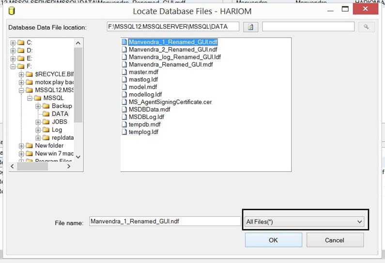 Attach Database files