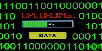 SQL Server INSERT Tutorial