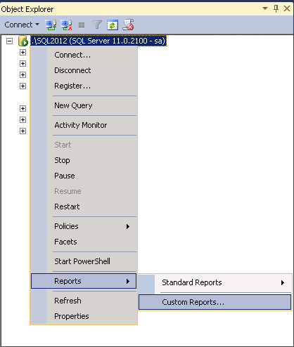 SQL Server Management Studio Custom Reports