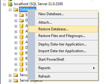 On premise database