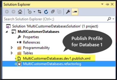 multi customer databases