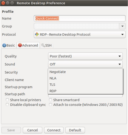 Remmina Advanced Connection Properties