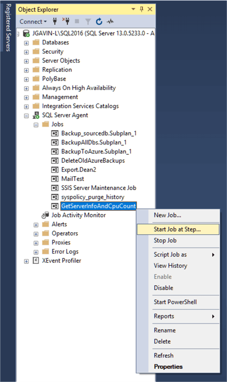 Run the SQL Server Agent Job in Management Studio