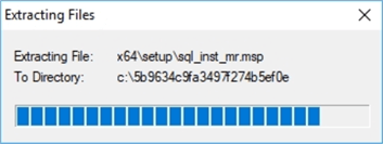 Setup extracting installation files.
