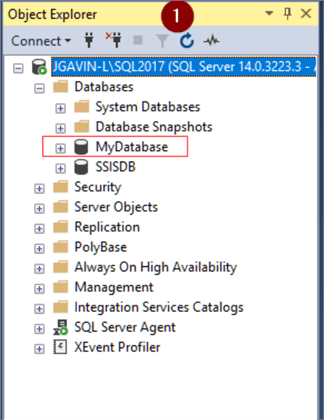 Newly created database 