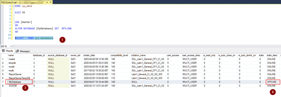 Verify database offline