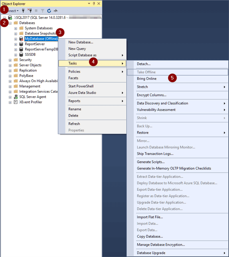Bring database online