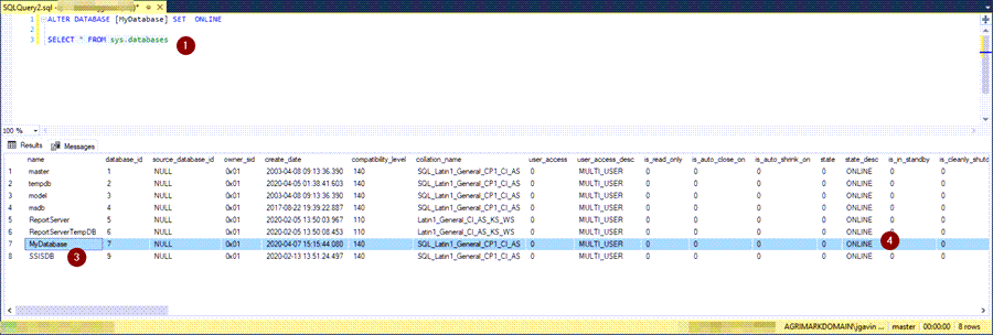 Verify database online
