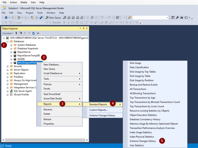 Run Schema Changes History Report