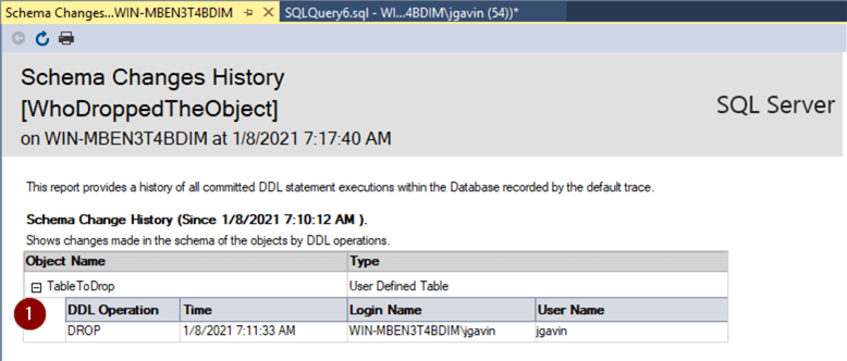 Schema Changes History Report