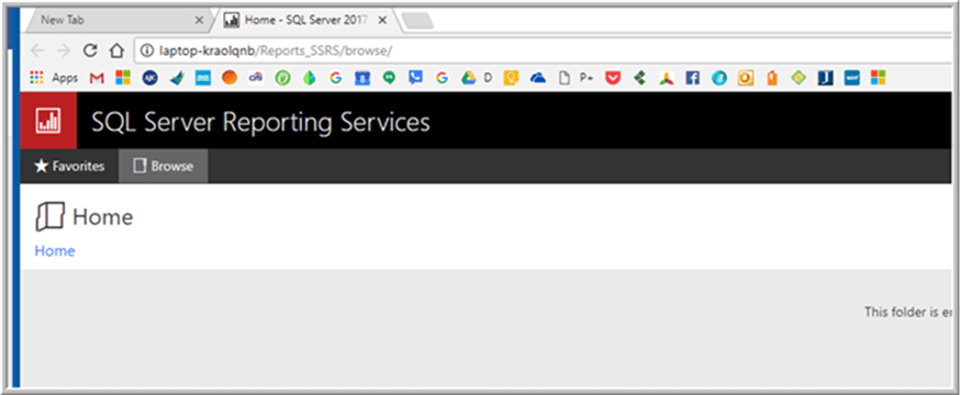 SSRS UP - Description: SSRS UP and Running.