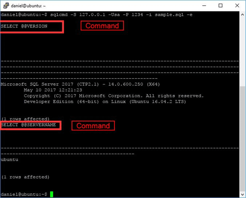 SQLCMD to Screen - Description: Screen capture showing the screen execution of sqlcmd including the input batches on the output.